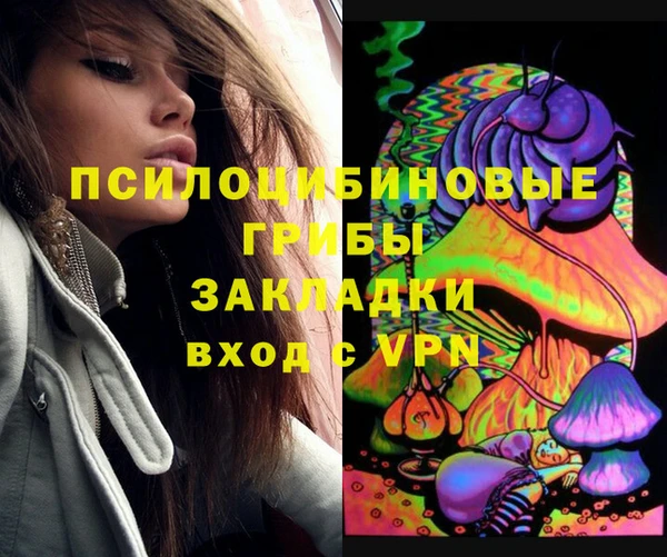 СК Балахна
