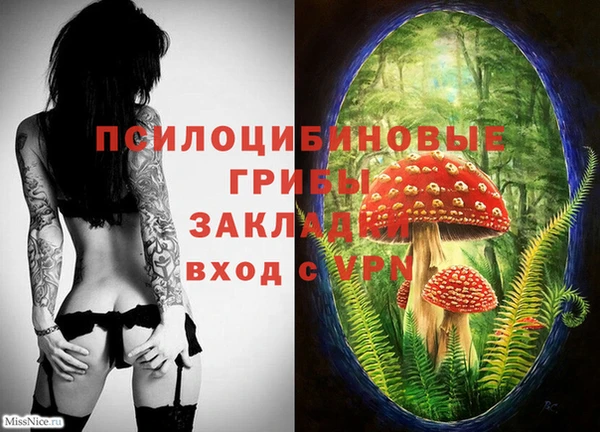 СК Балахна