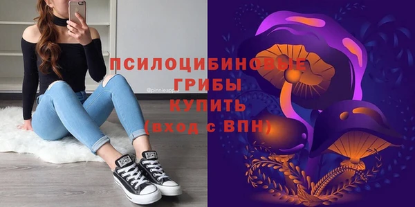 СК Балахна